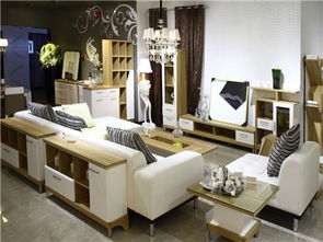 斯可馨定制家具讓您體驗(yàn)私人訂制的感覺(jué)